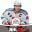 Igrica SONY za PS2 NHL 08, PS2-056254