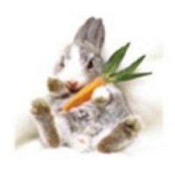 Podloga-za-misa-TUCANO-Bunny-Natura