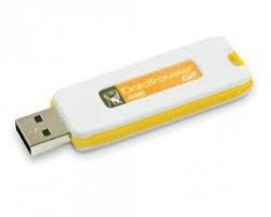 USB-KINGSTON-DTIG2-4GB