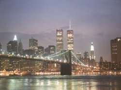 RS-domen-www-newyorke-rs-NEWYORKERS