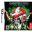 Igrica za Nintendo DS: Ghostbusters, A06854