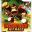 Igrica Donkey Kong Jet Race za Nintendo Wii, A00356