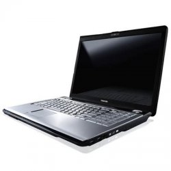Notebook-racunar-TOSHIBA-Satellite-L300-1AM